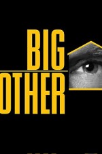 Watch Big Brother Megashare8